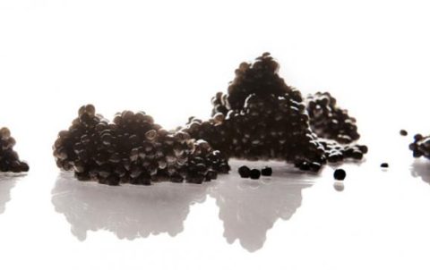 How To Handle Caviar