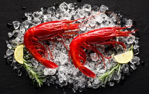 Red Prawn of Sicily